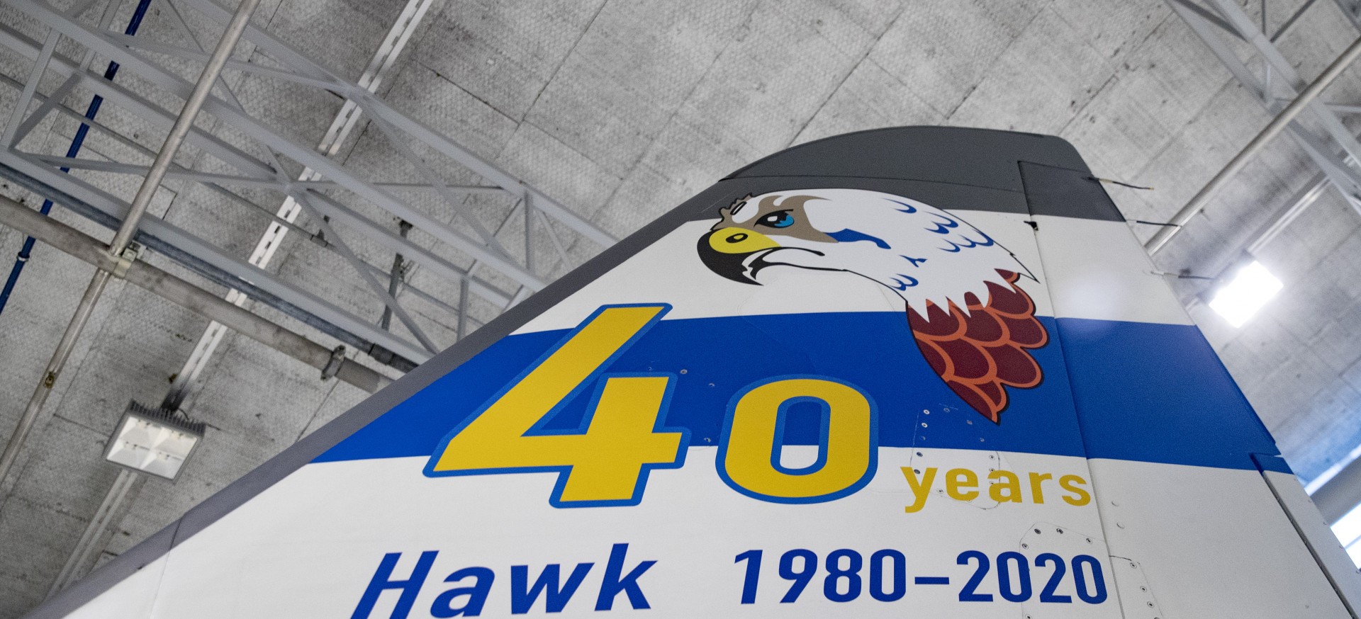 Hawk 40 years in Finland