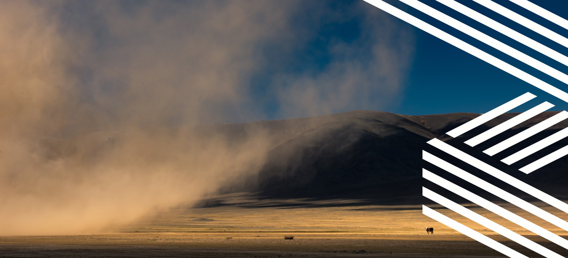 Supplier Code of Conduct