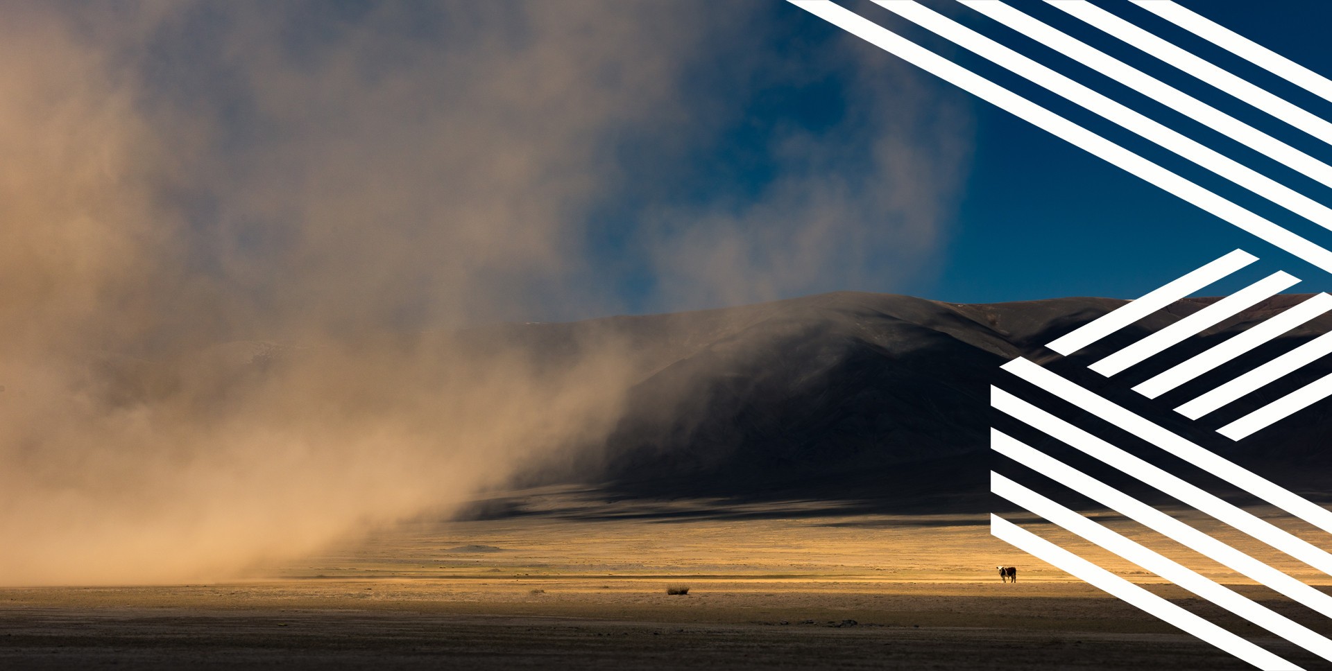 Supplier Code of Conduct