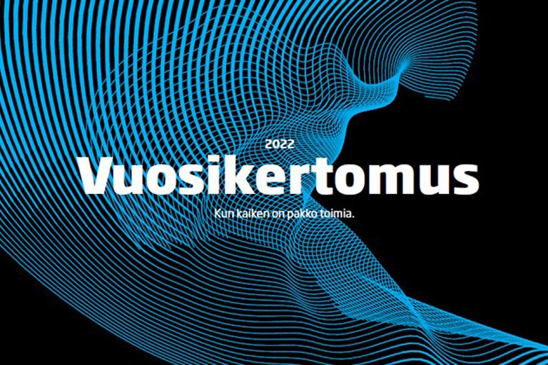 Vuosikertomus